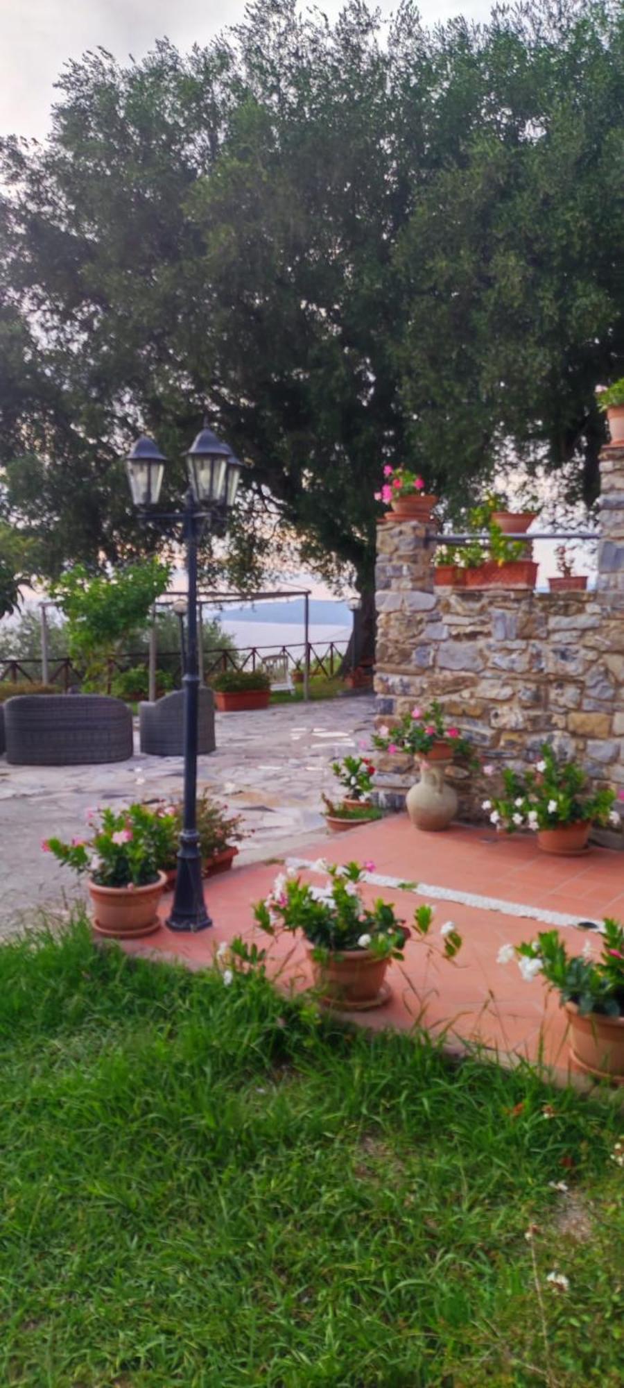 Agriturismo La Focazza Villa Ascea Exterior photo