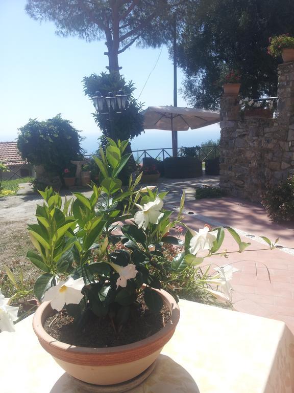 Agriturismo La Focazza Villa Ascea Exterior photo