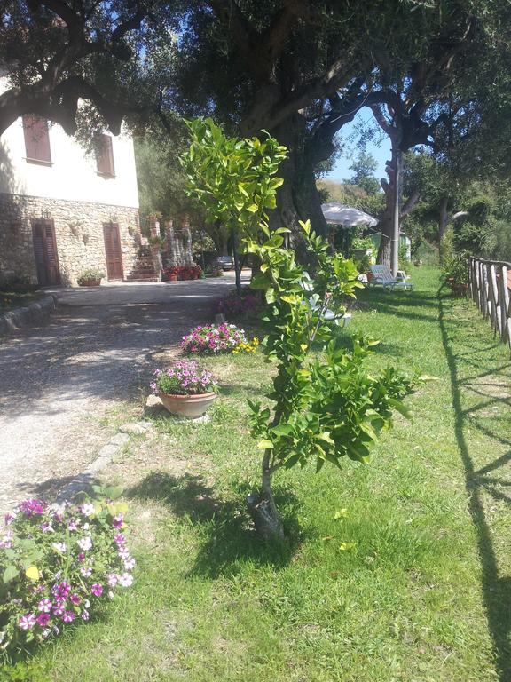 Agriturismo La Focazza Villa Ascea Exterior photo